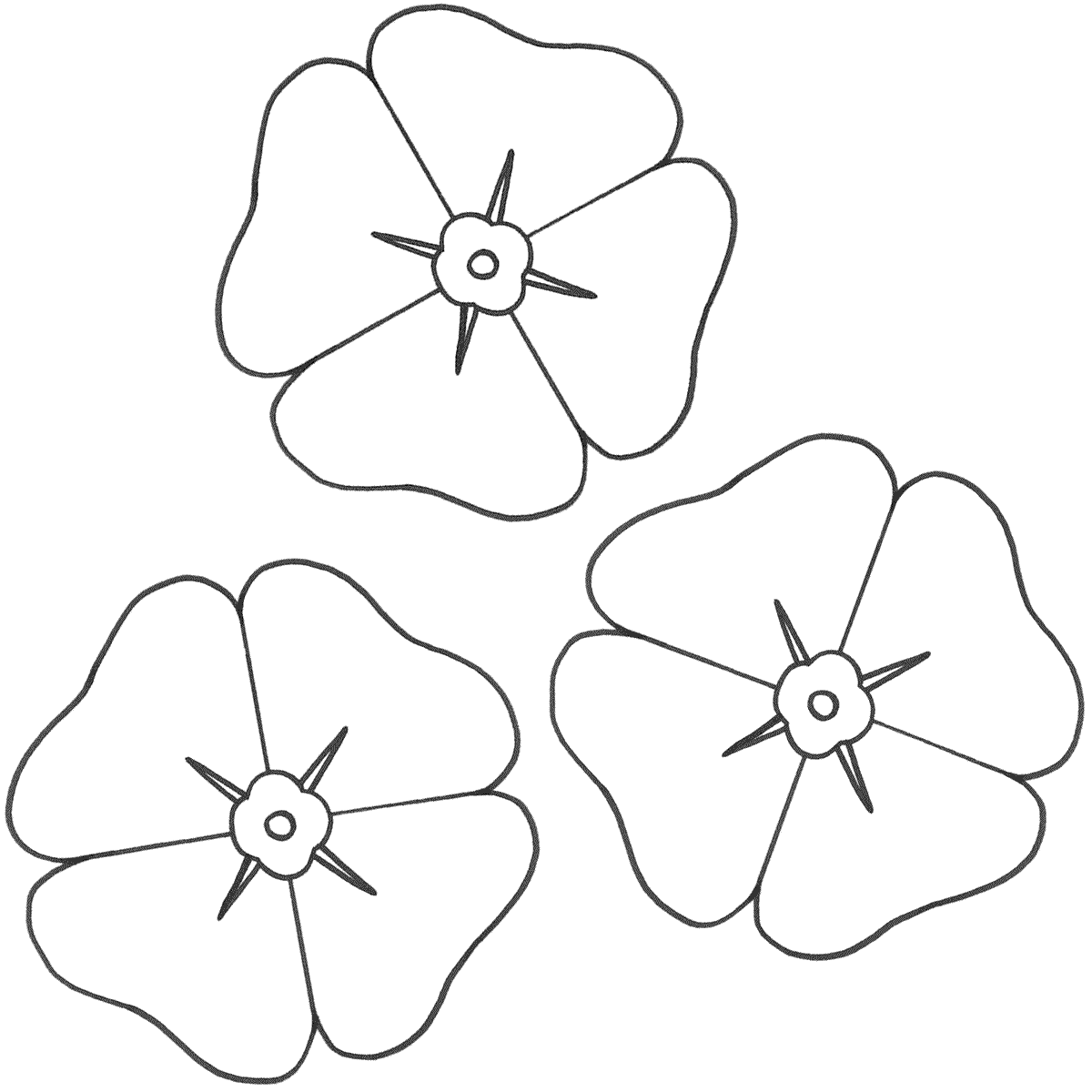 Poppy flowers coloring pages download and print for free