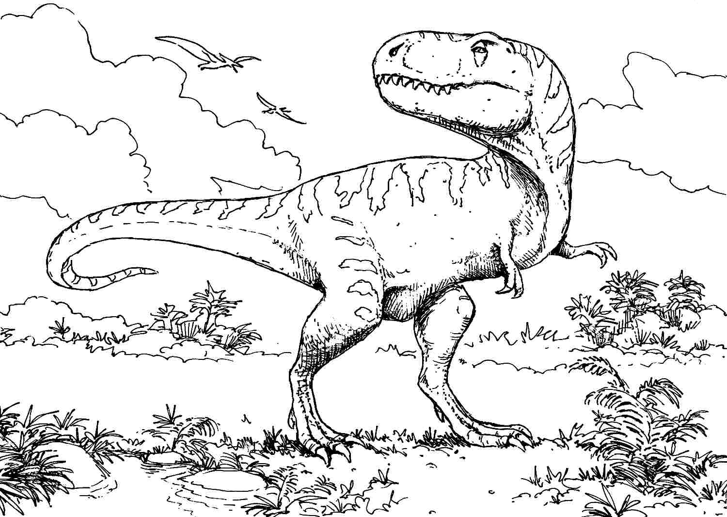 196 Simple T Rex Coloring Page Printable 