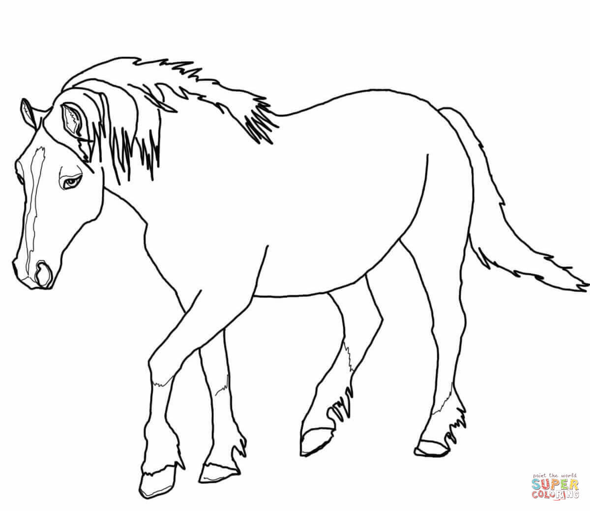 540 Cute Foal Coloring Pages with Animal character