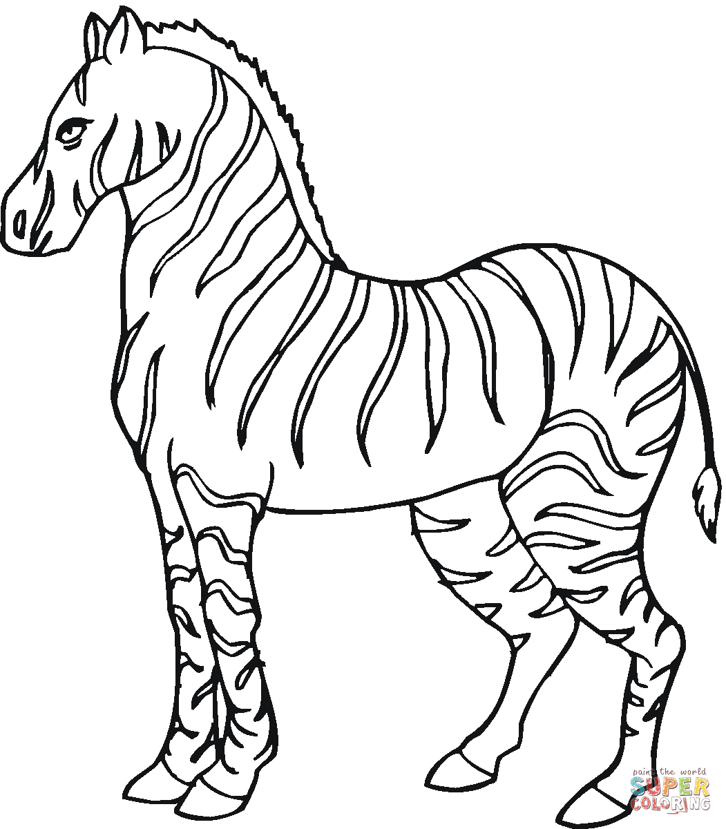 Zebra coloring pages to download and print for free