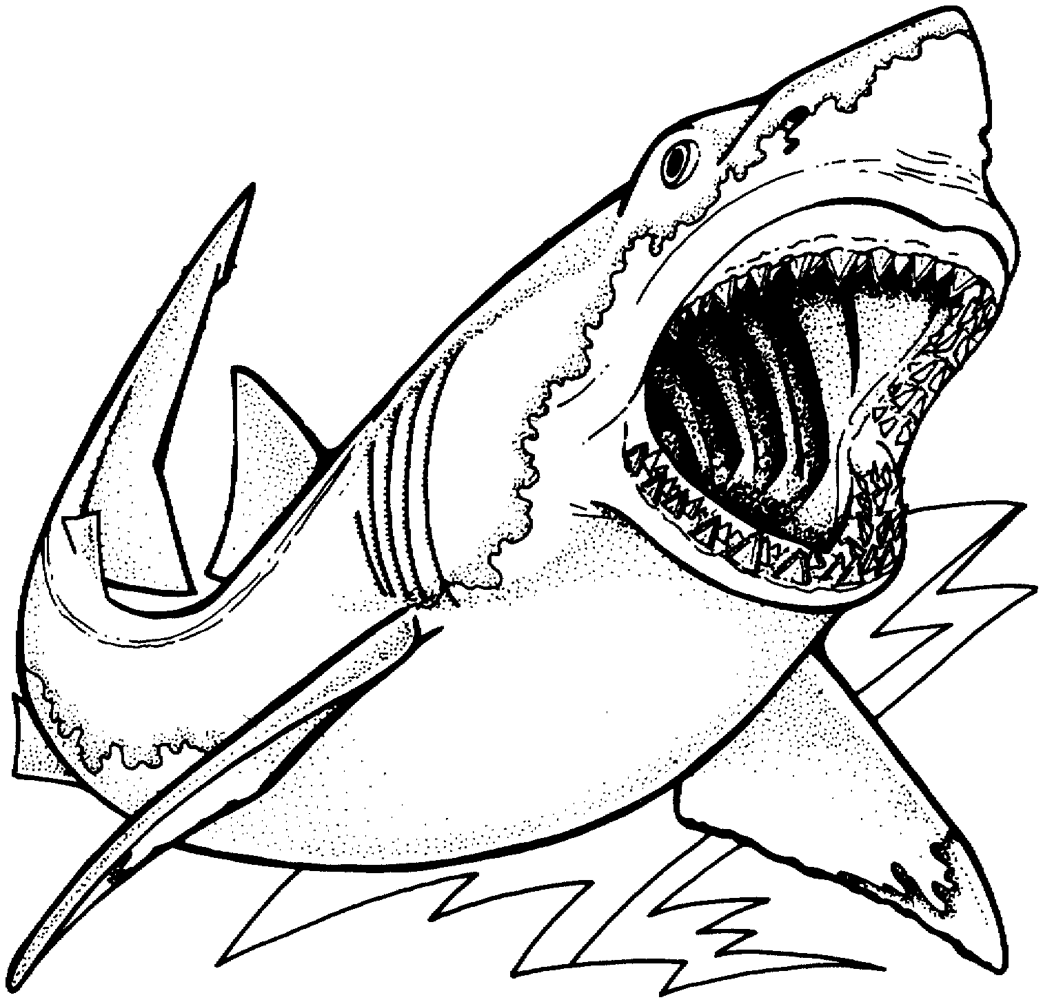 Great white shark coloring pages to download and print for