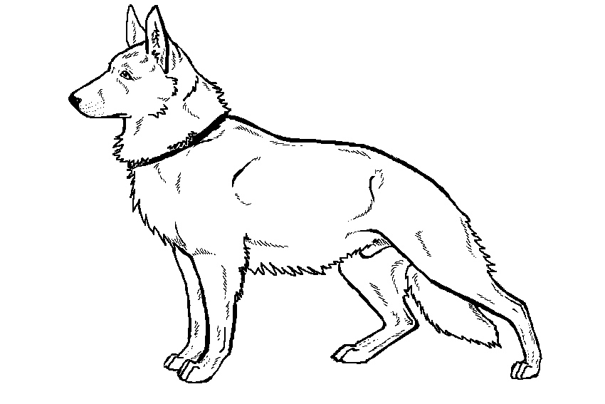 German shepherd coloring pages to download and print for free