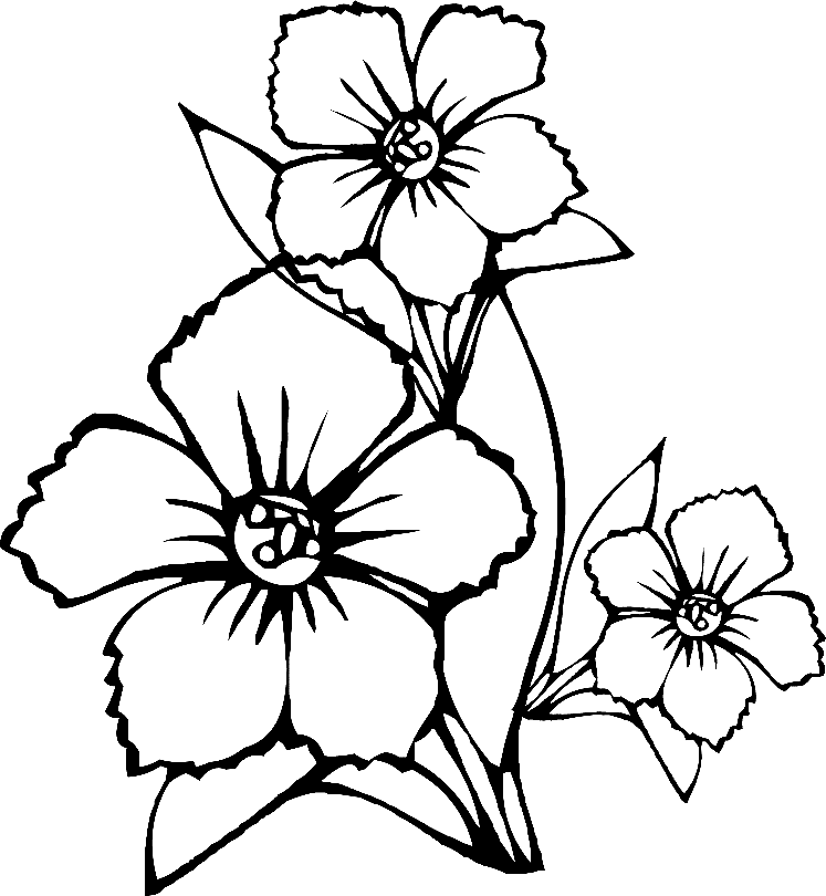 981 Cute Large Flower Coloring Pages with Printable