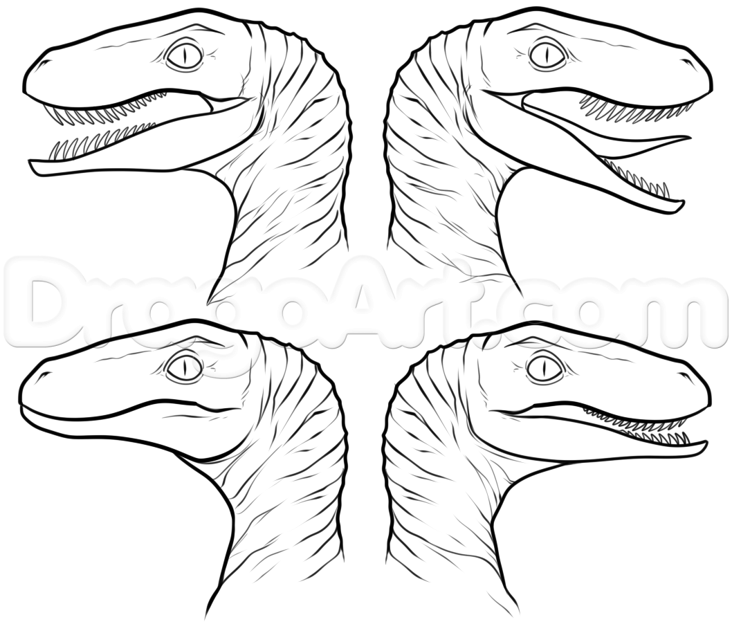 Raptor coloring pages download and print for free
