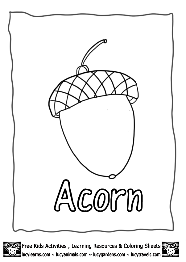 acorn coloring pages - photo #31