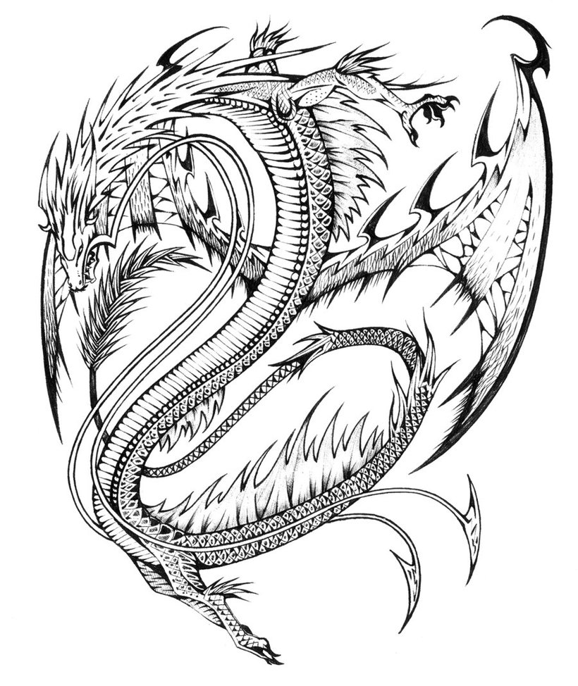 Dragon coloring pages for adults to download and print for free