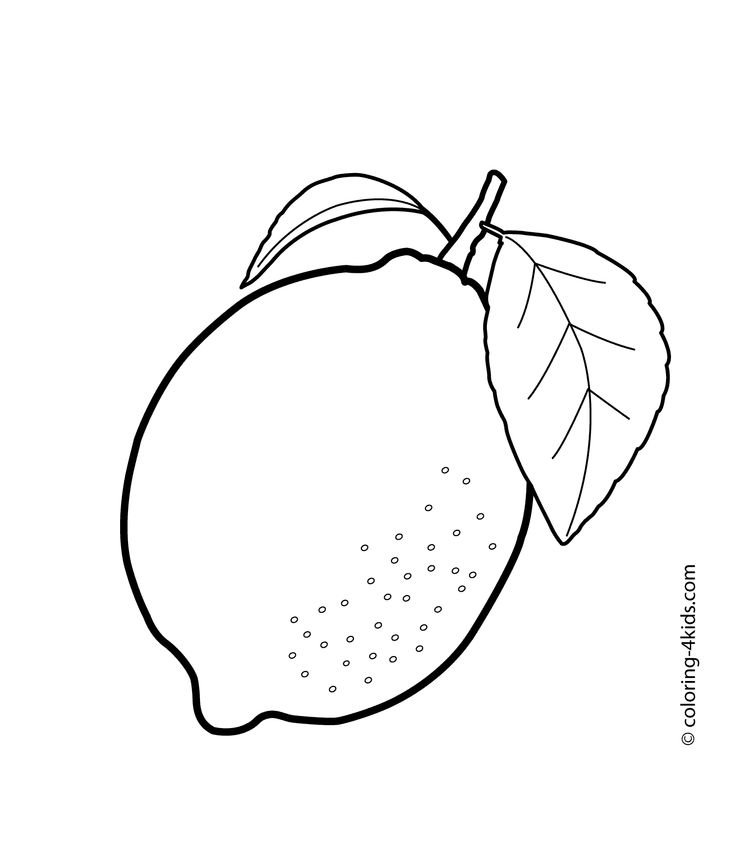 Lemon coloring pages download and print for free