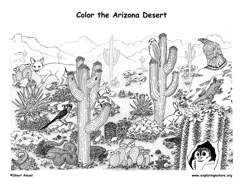 desert-coloring-pages-to-download-and-print-for-free