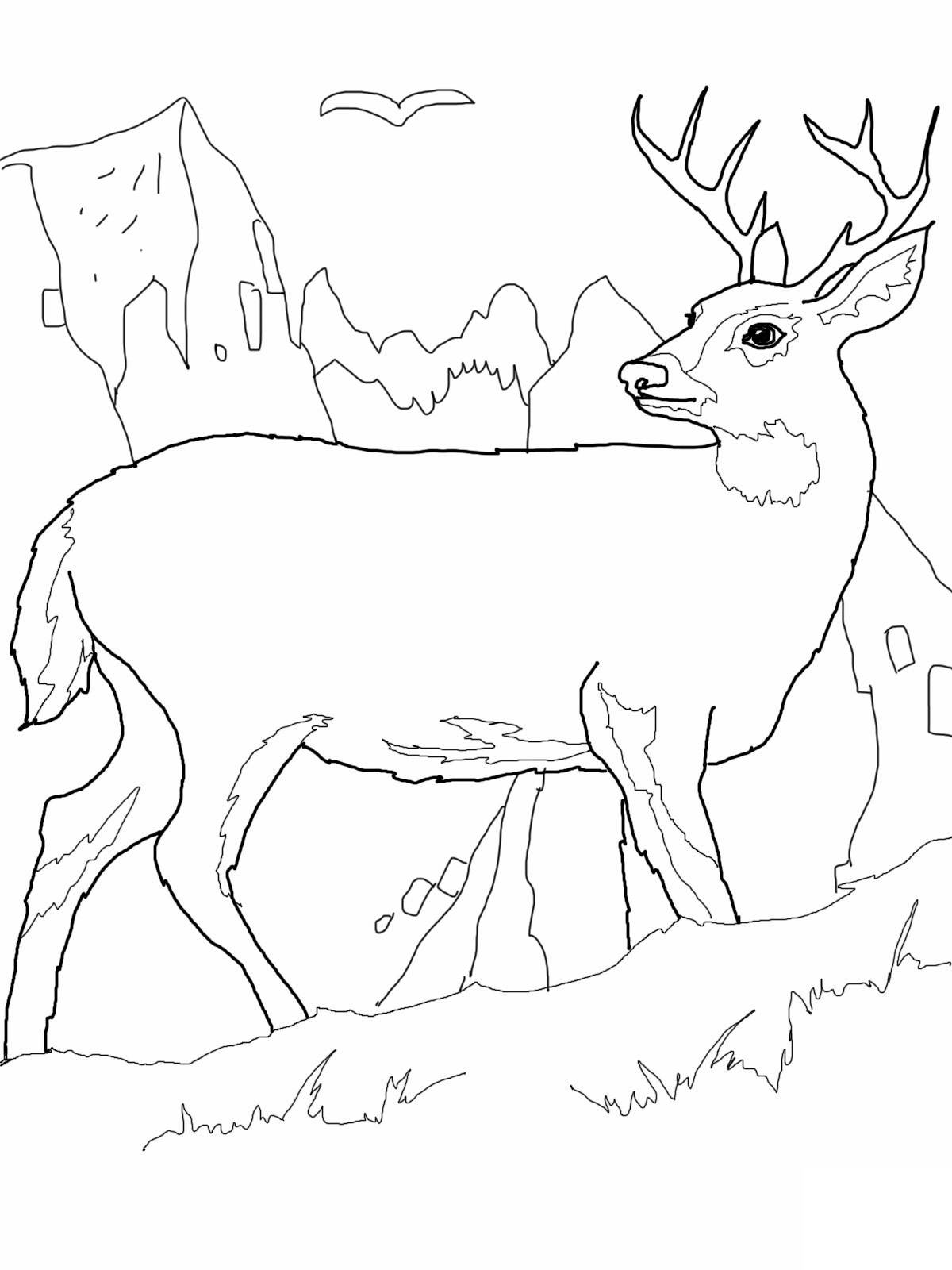 Deer coloring pages to download and print for free