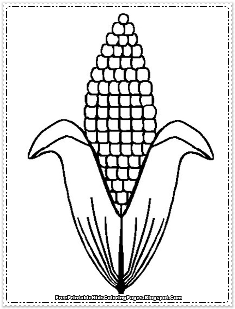 corn coloring cob printable template clipart drawing indian stalk candy clip plant diagram cartoon anatomy library getdrawings personal use husk