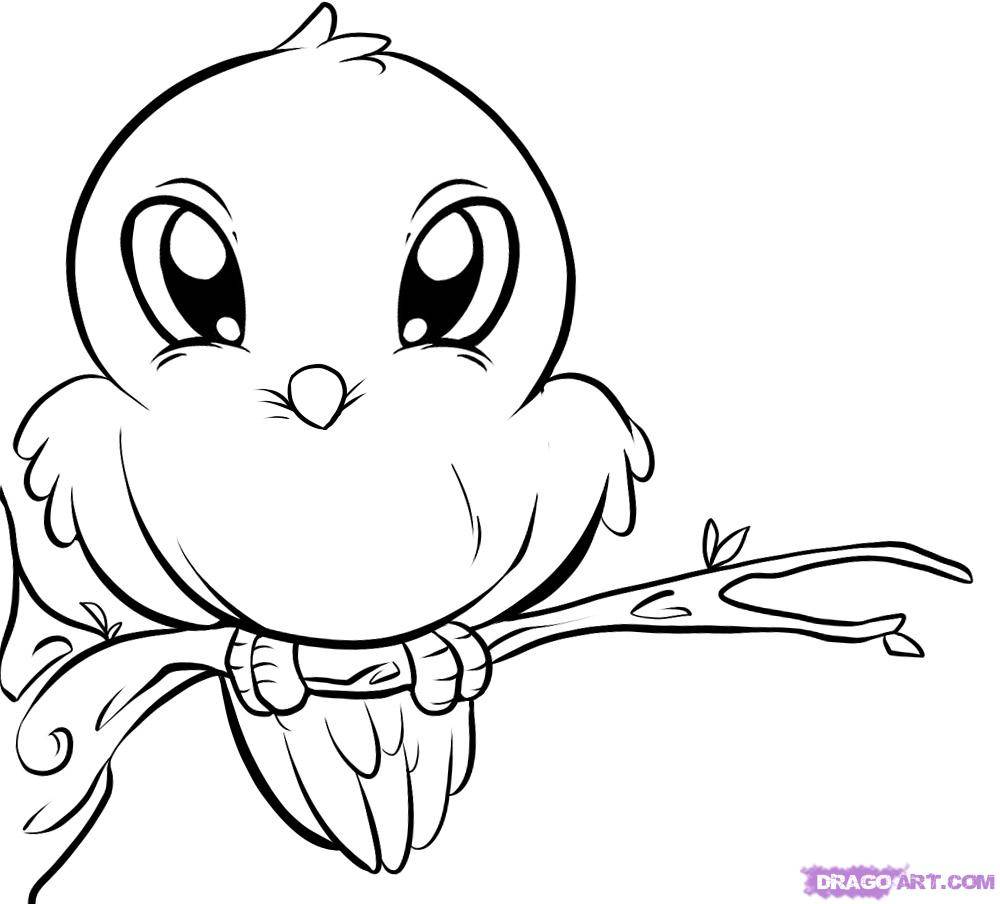 Bird coloring pages to download and print for free