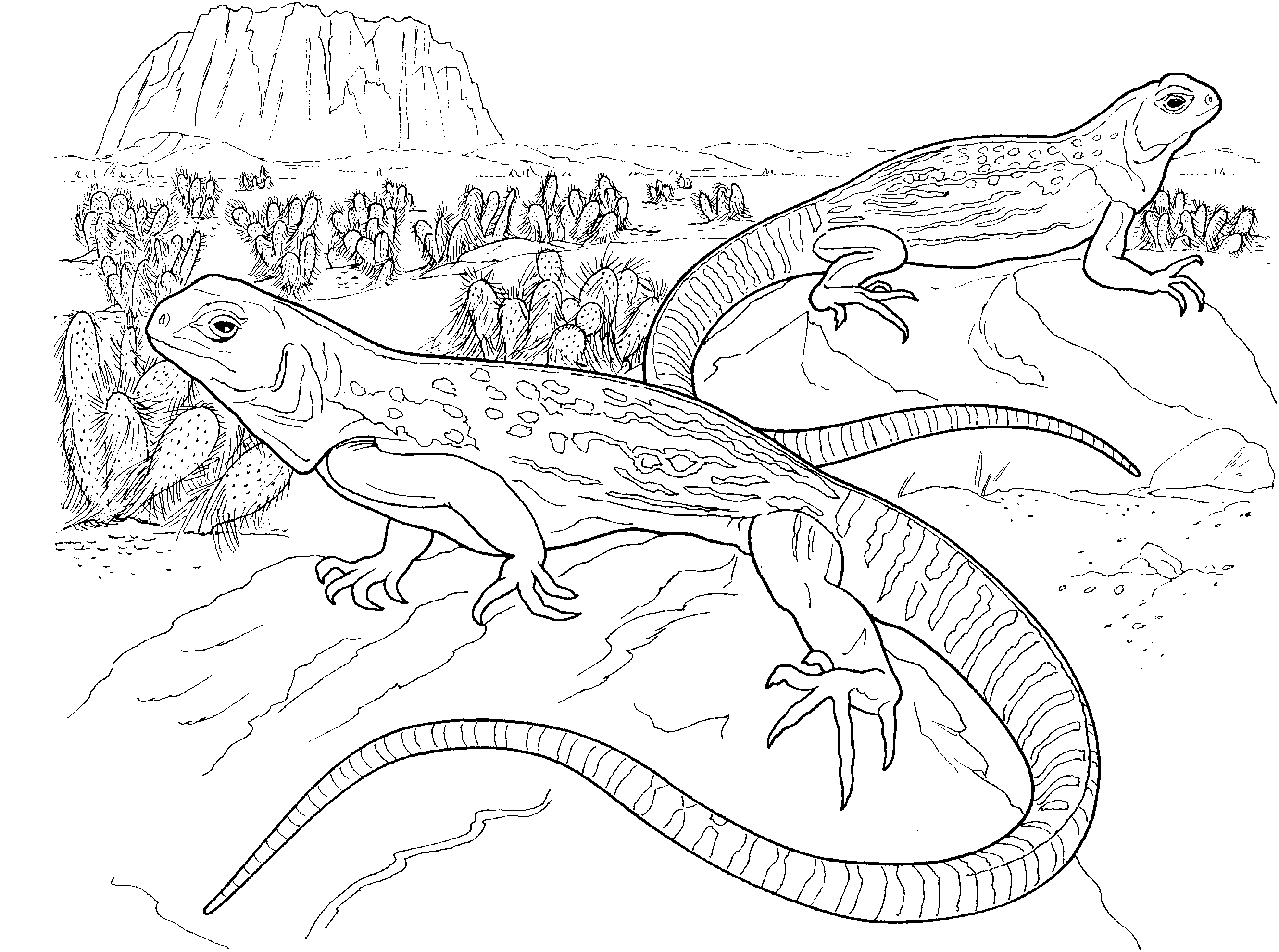 791 Cute Reptile Coloring Pages for Adult