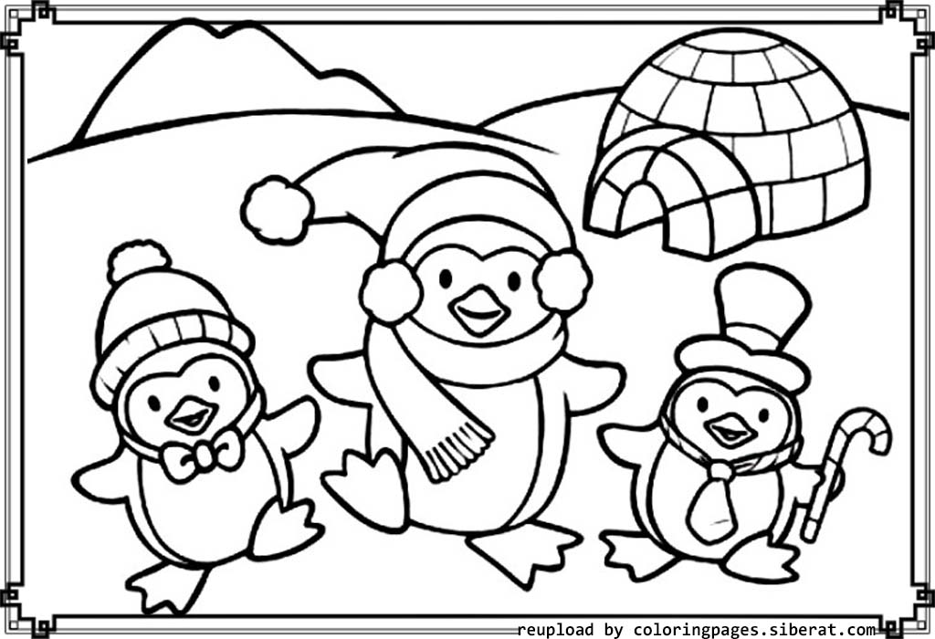 304 Unicorn Coloring Pages Of Cute Penguins for Kindergarten