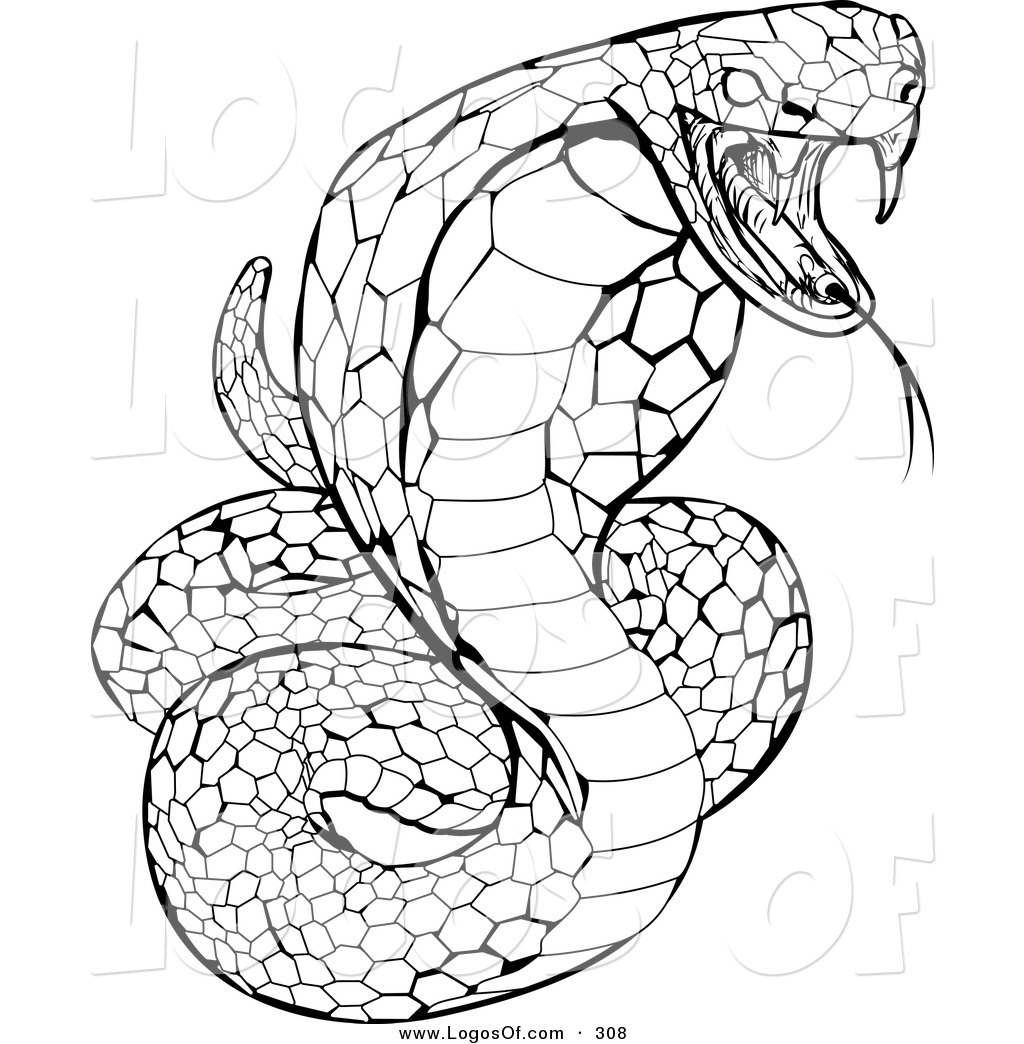 cobra snake coloring king vector striking right venomous hissing atstockillustration looking