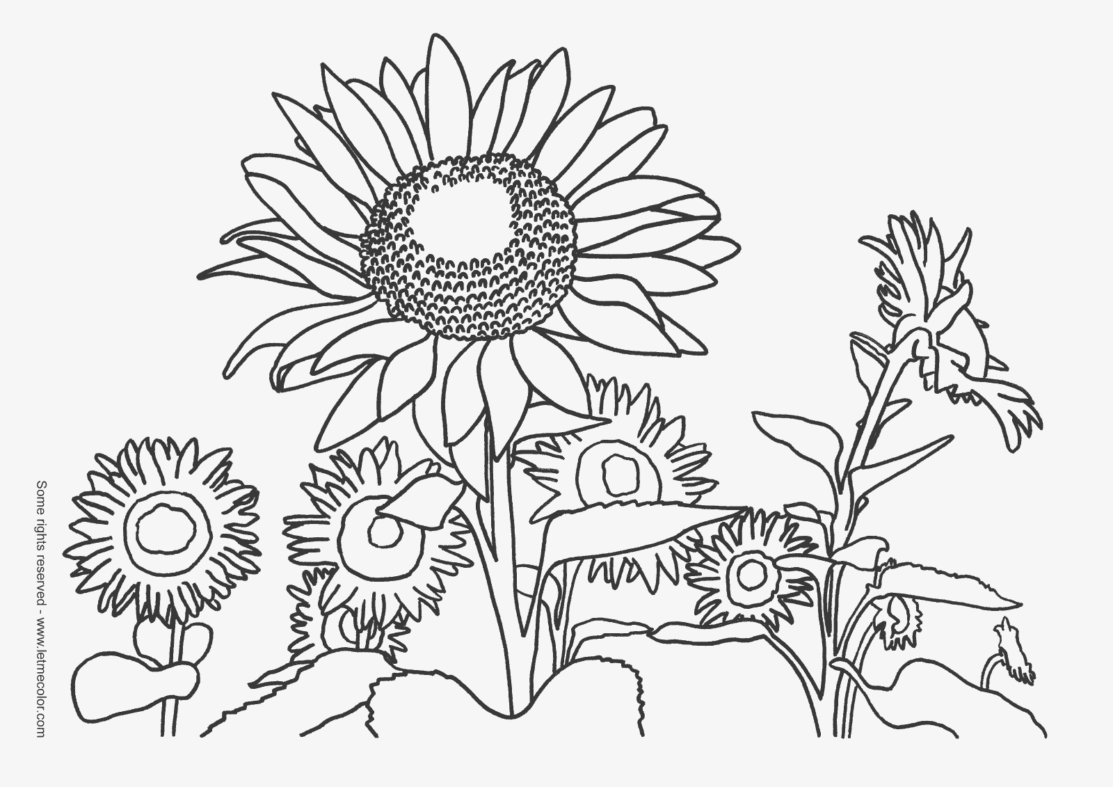 September coloring pages to download and print for free