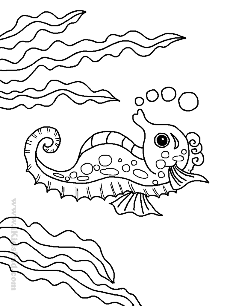 240 Animal Printable Coloring Pages Sea Animals for Kindergarten