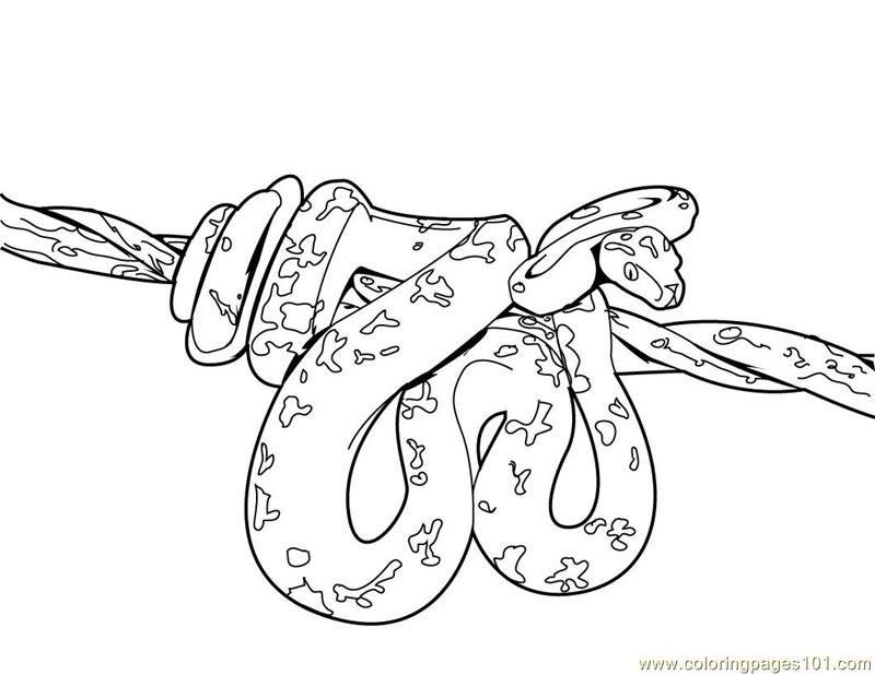 reptile-coloring-pages-to-download-and-print-for-free