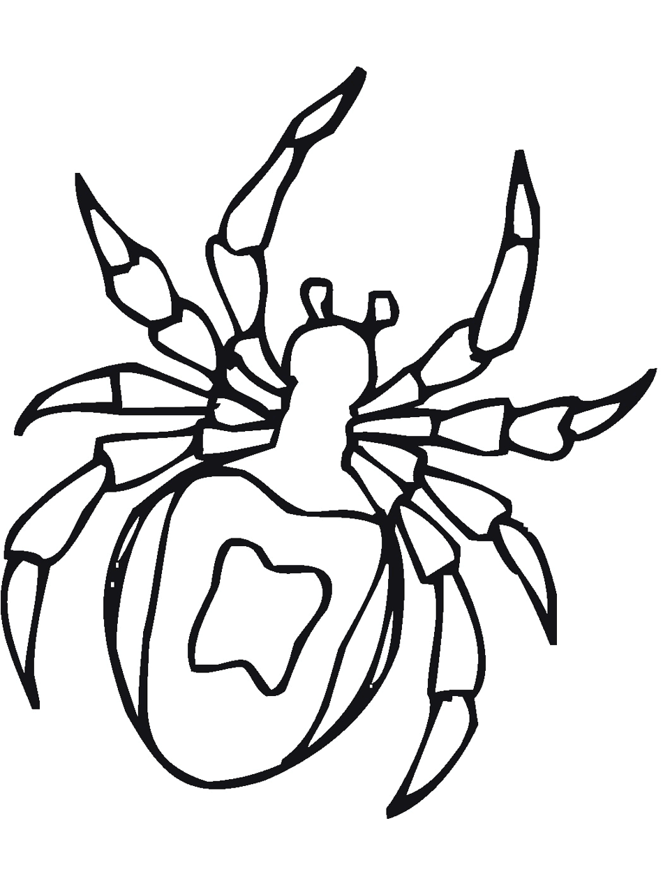 Insect coloring pages to download and print for free