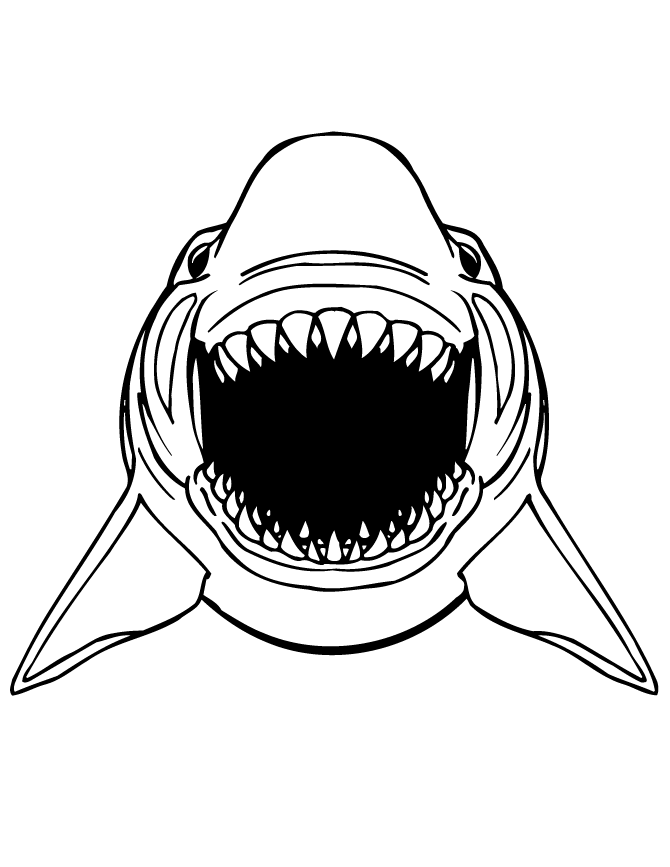 Great white shark coloring pages to download and print for free