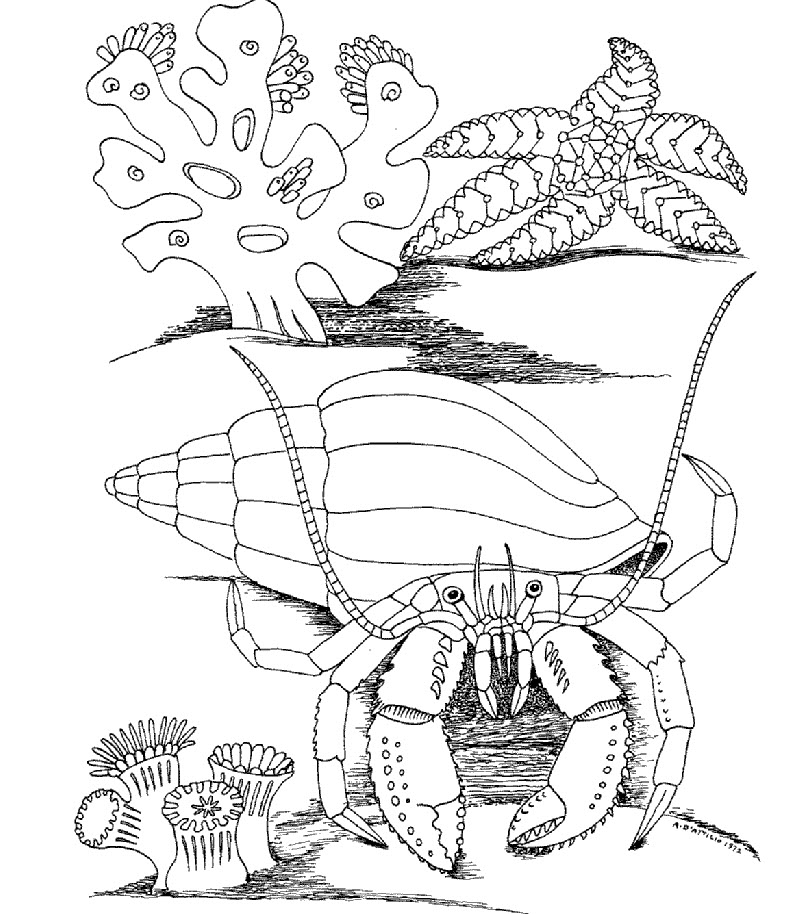 underwater coloring pages online - photo #32
