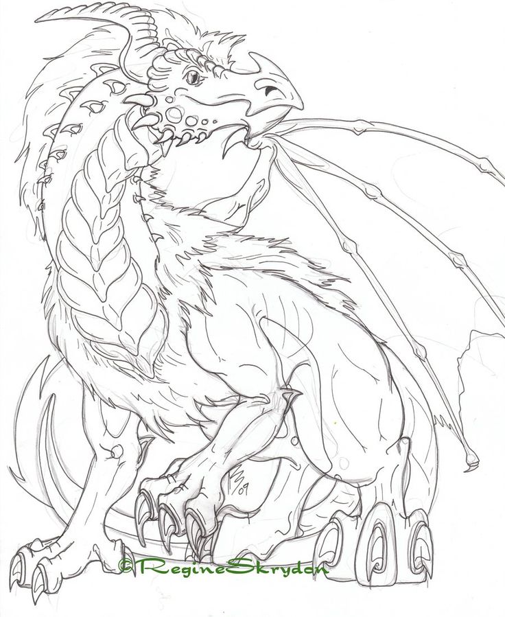 Dragon coloring pages for adults to download and print for