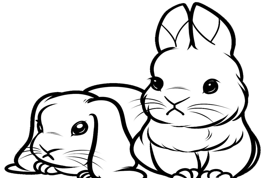 Cute bunny coloring pages to download and print for free