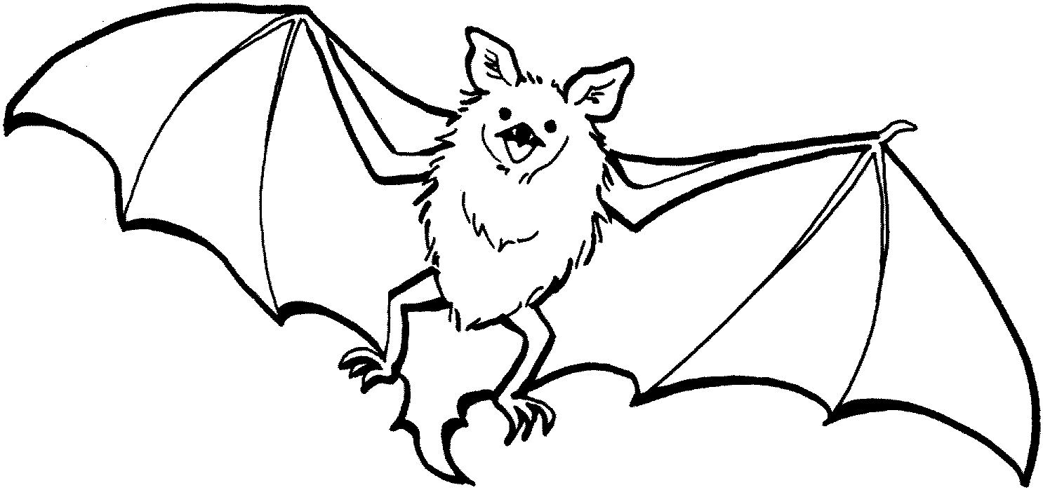 Bat coloring pages to download and print for free
