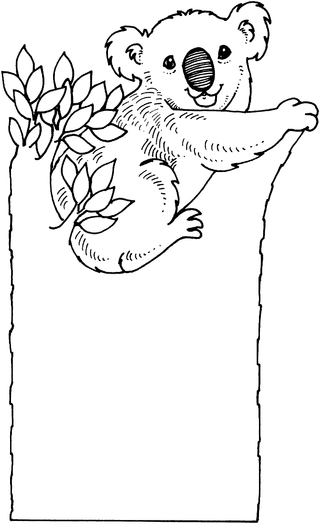 Koala coloring pages to download and print for free