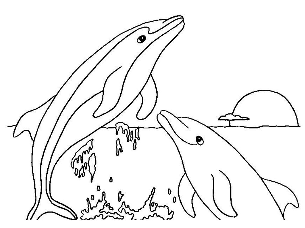 Dolphin coloring pages download and print for free