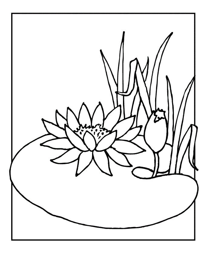 Lily coloring pages to download and print for free