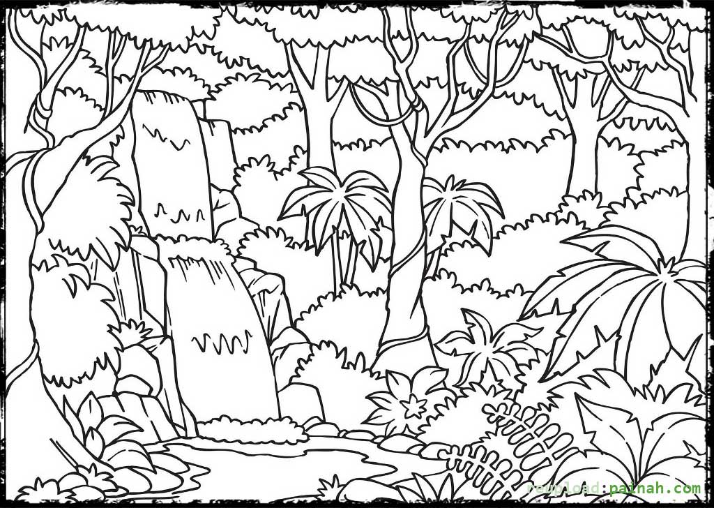 Rainforest coloring pages to download and print for free