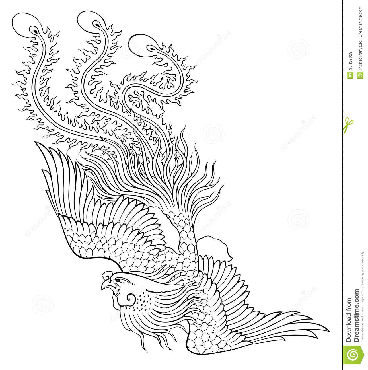 Baby Phoenix Coloring Pages - Food Ideas