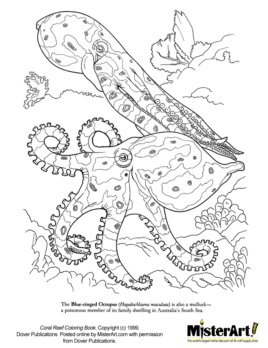 great-barrier-reef-coloring-pages-coloring-home