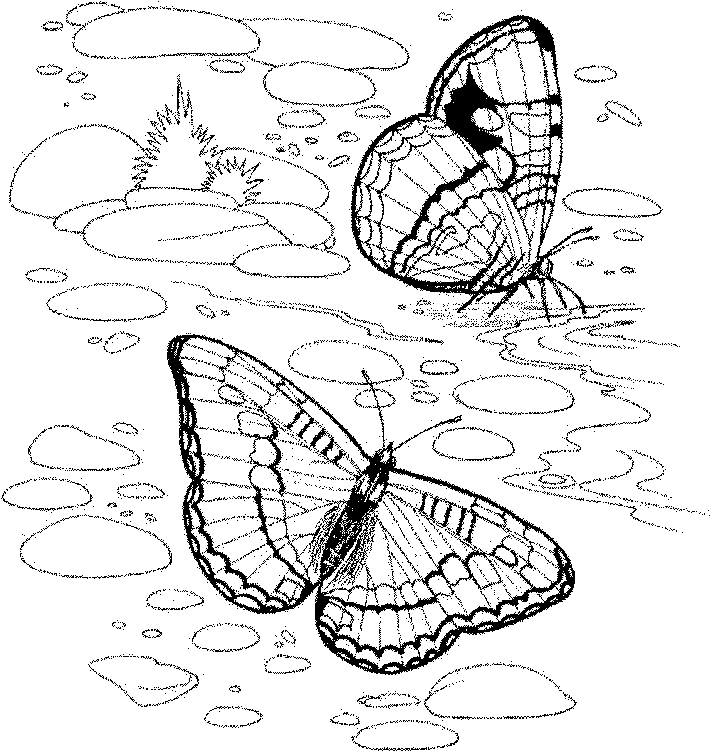 39+ Nature Coloring Pages Free Printable PNG COLORIST