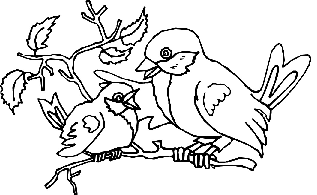 Bird coloring pages to download and print for free
