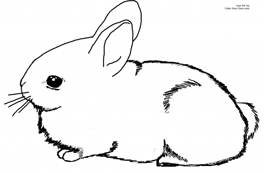 Cute bunny coloring pages to download and print for free