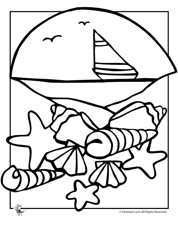 Seashell coloring pages to download and print for free