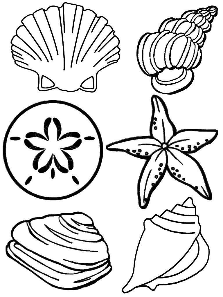 Ocean life coloring pages to download and print for free