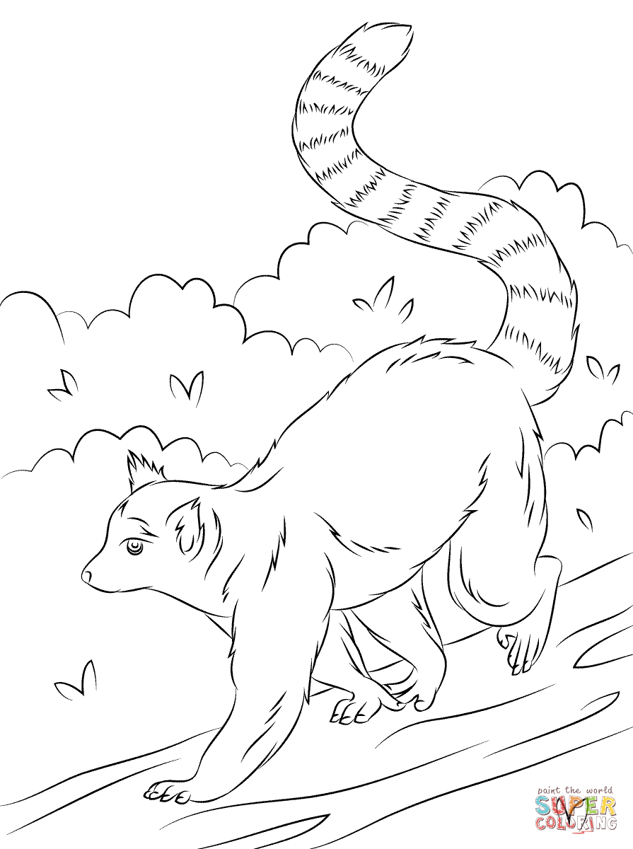 Lemur coloring pages download and print for free