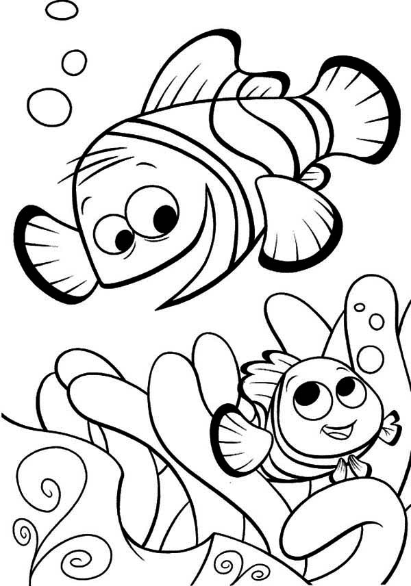 Finding nemo coloring pages to download and print for free