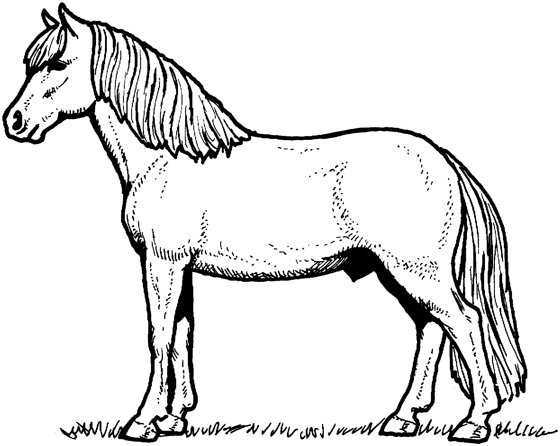 Cartoon horses coloring pages download and print for free