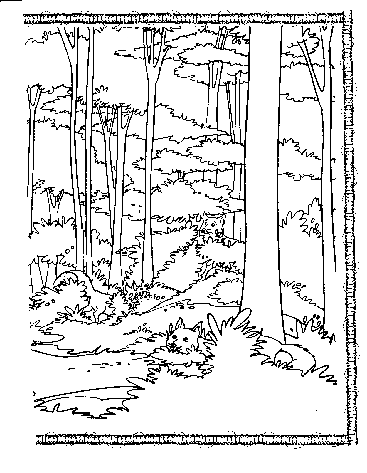 Forest coloring pages to download and print for free