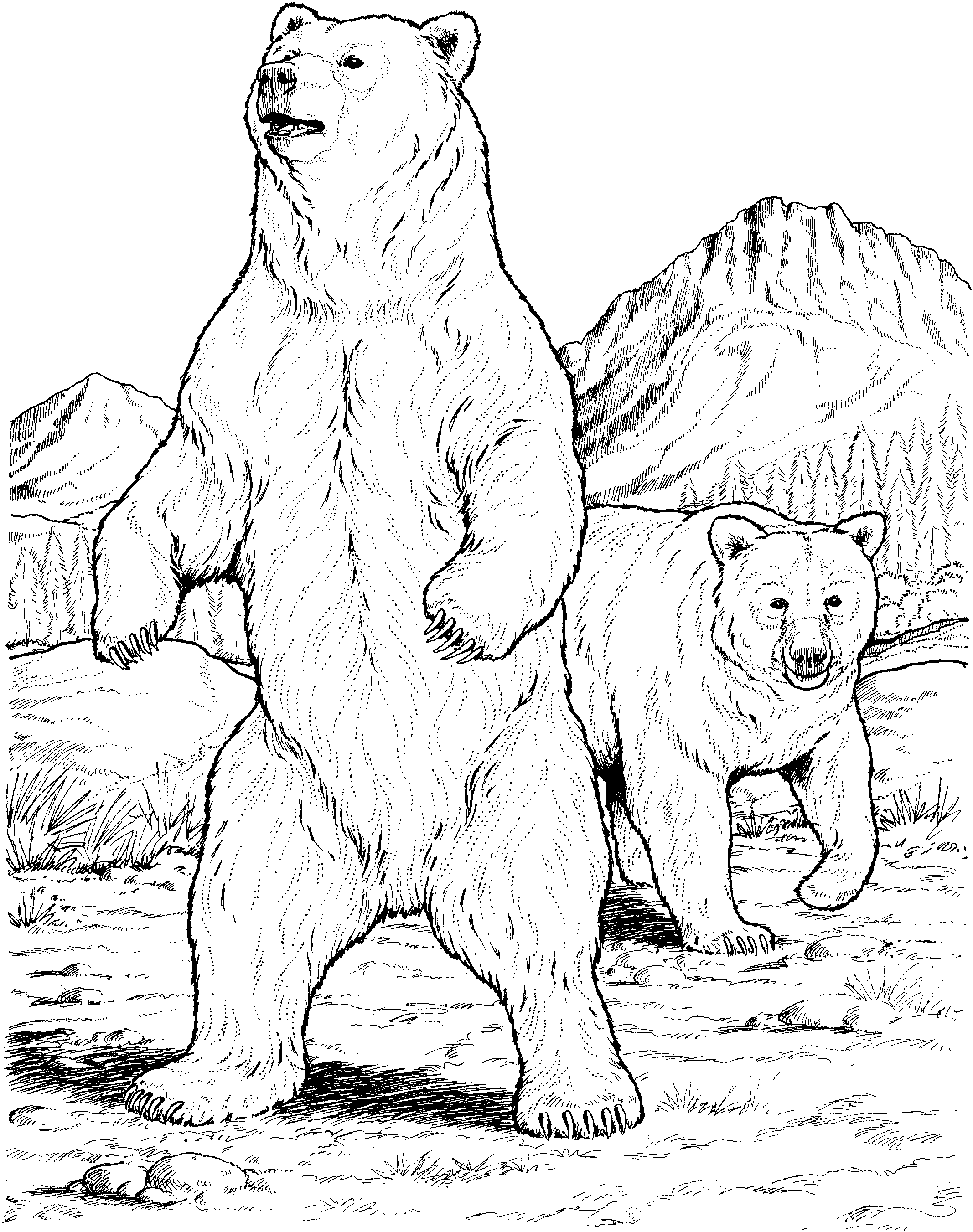 brown-bear-coloring-pages-download-and-print-for-free