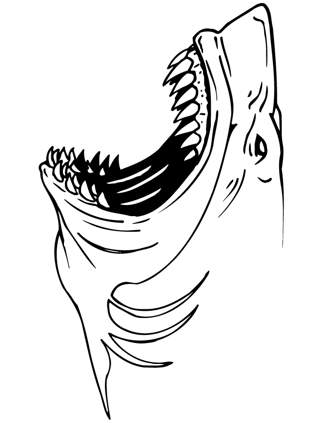 shark-coloring-pages-to-download-and-print-for-free