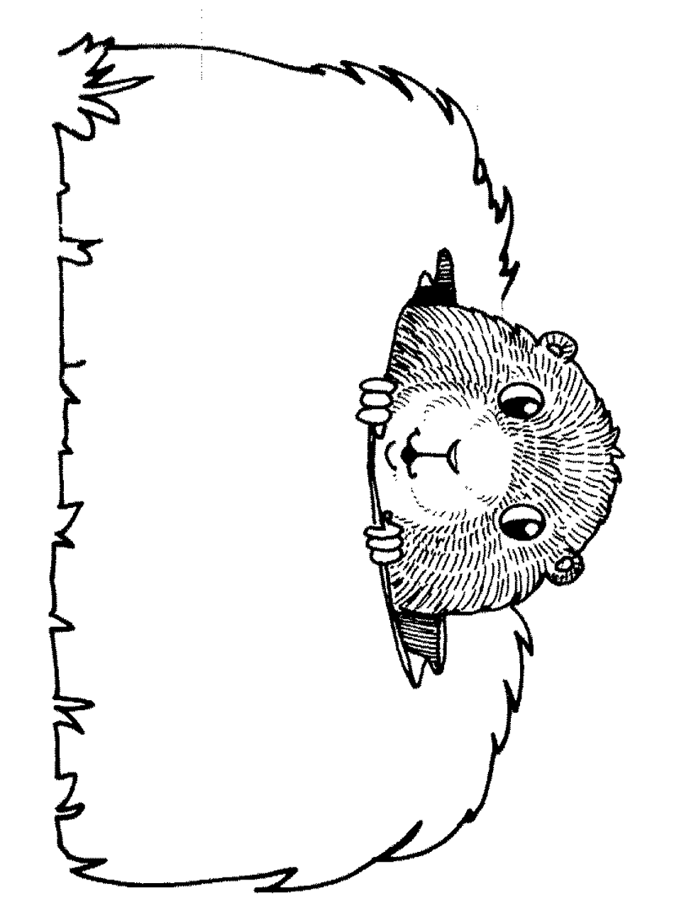 Groundhog day coloring pages to download and print for free