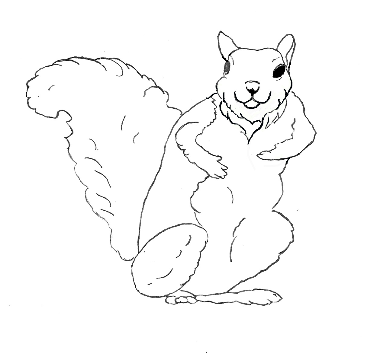 Flying squirrel coloring pages download and print for free