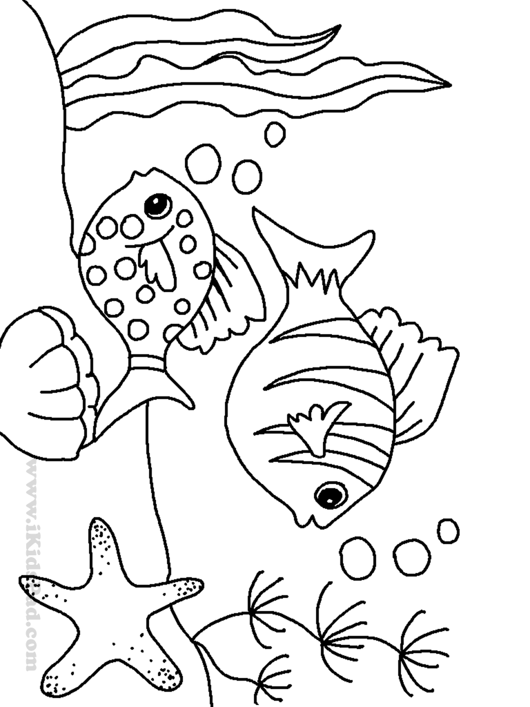 Sea coloring pages to download and print for free