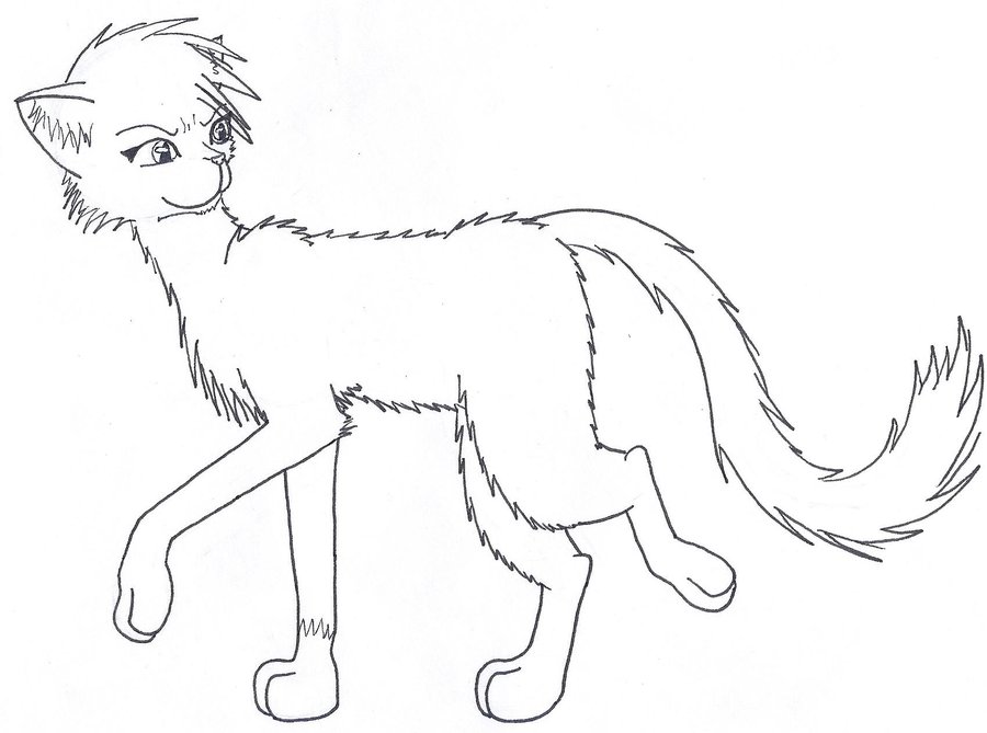 Warrior cat coloring pages to download and print for free