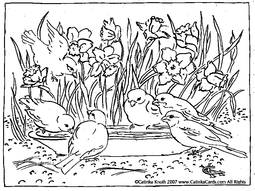 Flower garden coloring pages to download and print for free