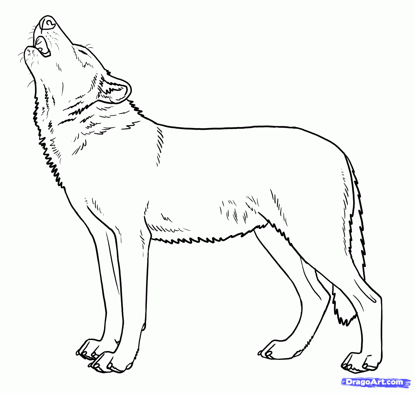 Wolf howling moon coloring pages download and print for free